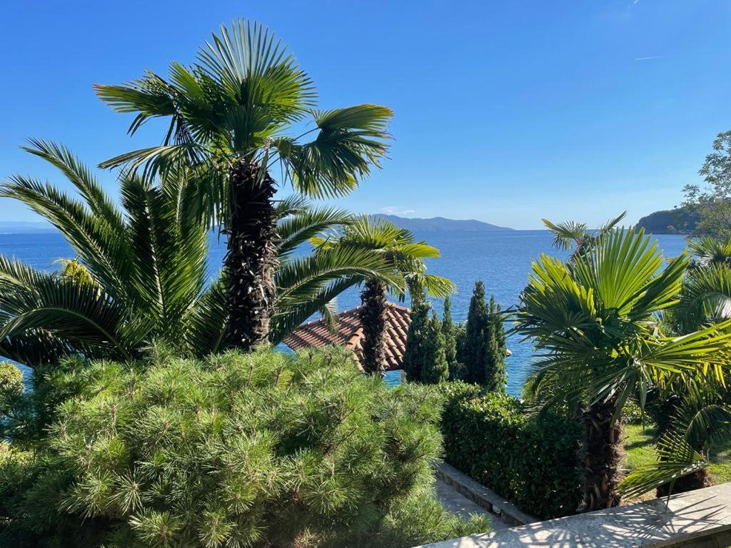 Apartament Nika *